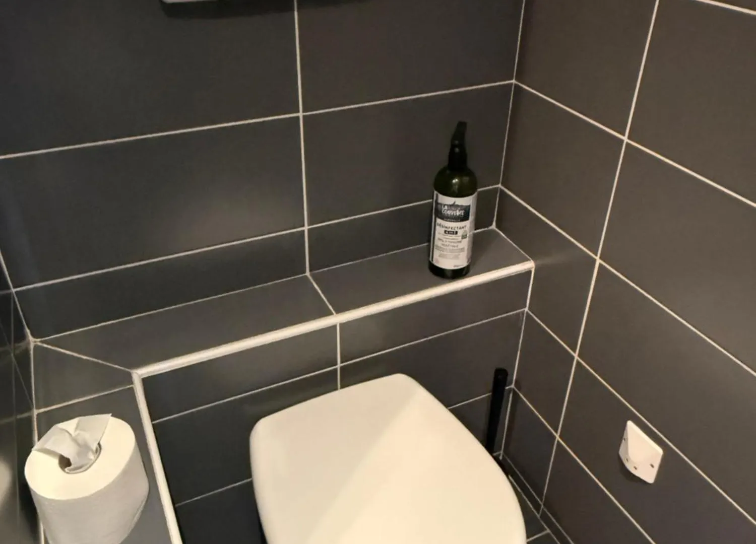Beautiful Flat On Capitole Place Toulouse